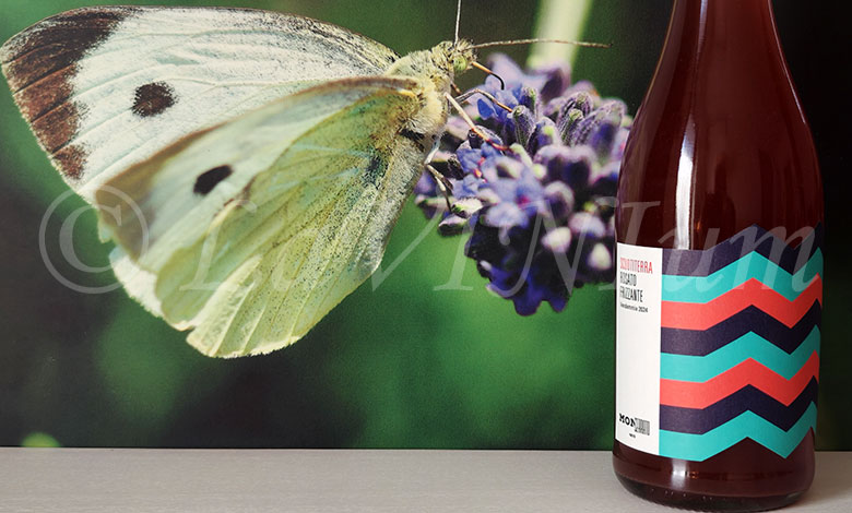 Rosato Frizzante 2024 Monserrato 1973