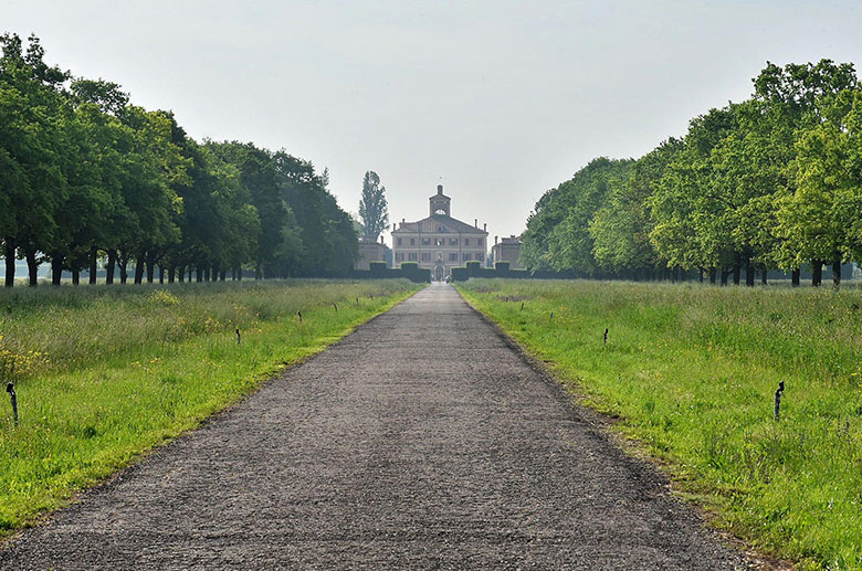 Il viale di ingresso a Villa Cavazza