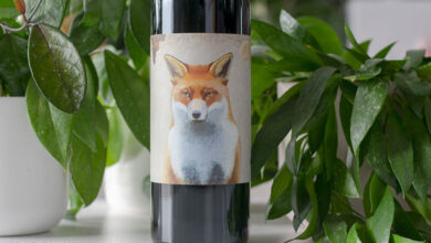 Brunello di Montalcino Vigna Massimo 2019 Villa Le Prata