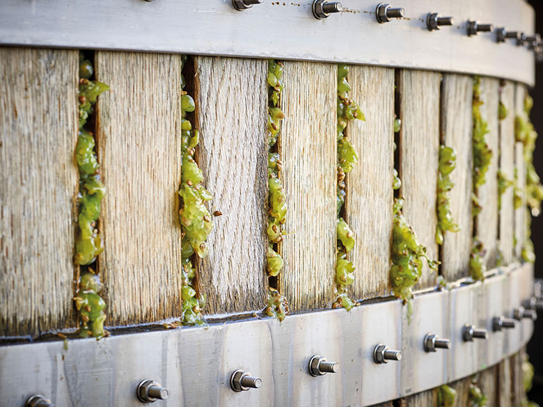 Particolare della pressa Marmonier