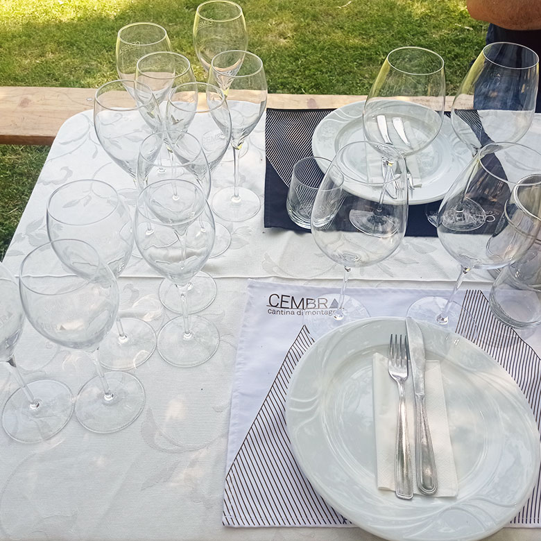 Cembra, postazione degustatore