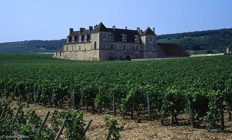 Clos de Vougeot