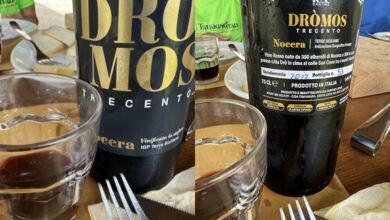 Dròmos Trecento Nocera 2022 Cantine Lipari