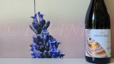 Frappato Rina Russa 2024 Santa Tresa