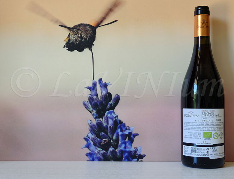 Frappato Rina Russa 2024 Santa Tresa