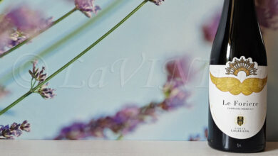 Fiano Le Foriere 2023 Corte Laureana