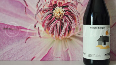 Bianco Murate di Sopra 2024 Monserrato 1973