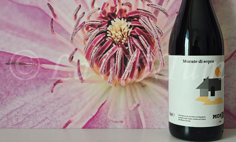 Bianco Murate di Sopra 2024 Monserrato 1973