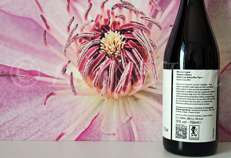 Bianco Murate di Sopra 2024 Monserrato 1973