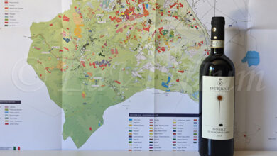 Vino Nobile di Montepulciano 2021 De' Ricci