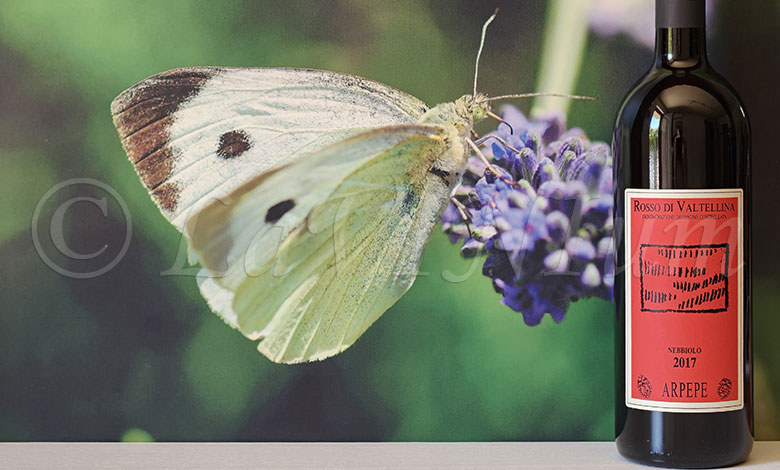 Rosso di Valtellina 2017 ARPEPE