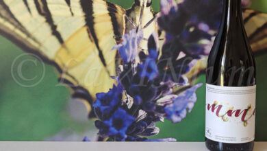 Rosso 6 Gemme 2023 Cantina del Tufaio