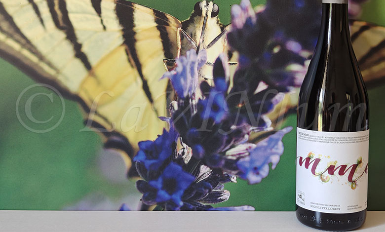 Rosso 6 Gemme 2023 Cantina del Tufaio