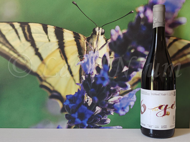 Rosso 6 Gemme 2023 Cantina del Tufaio