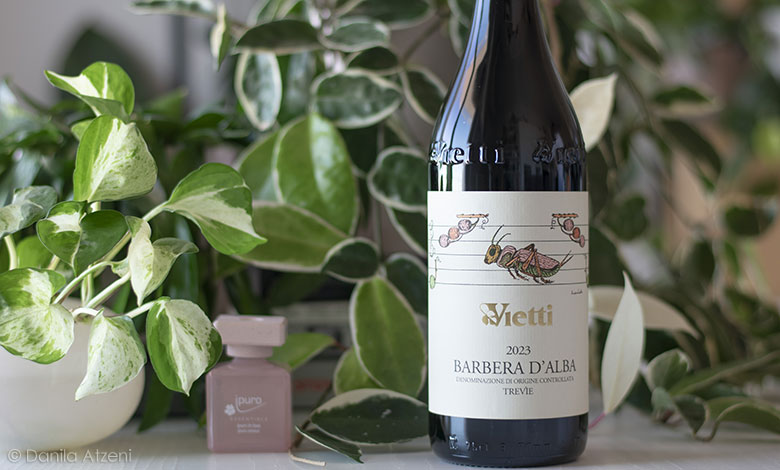 Barbera d'Alba Trevìe 2023 Vietti
