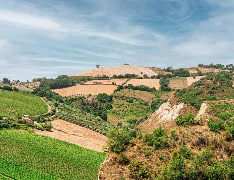 Castorano - Velenosi