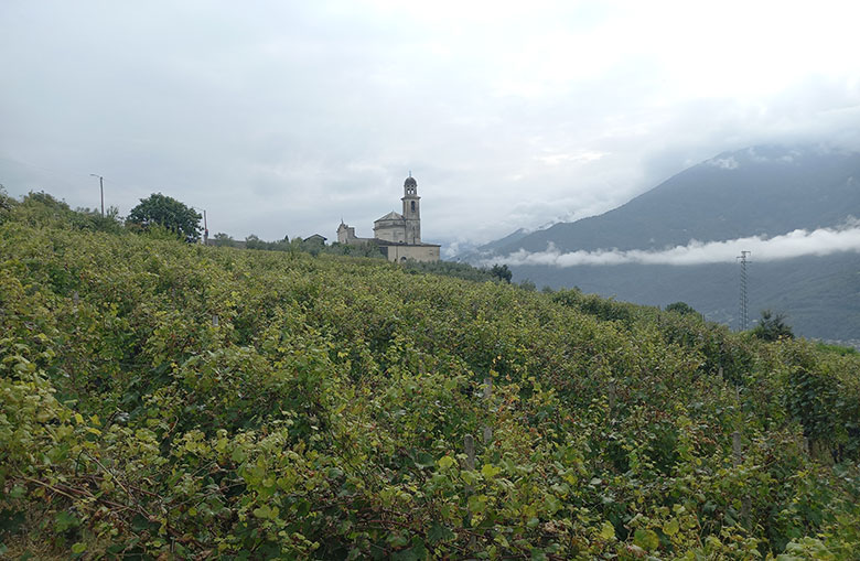 Poggiridenti, la chiesa parrocchiale di San Fedele