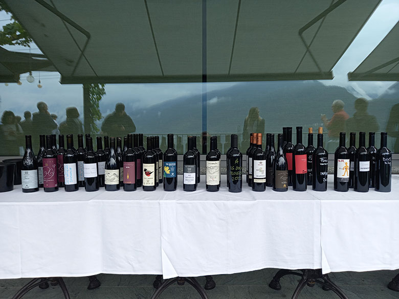 ViVa 2025, anteprima annata 2023