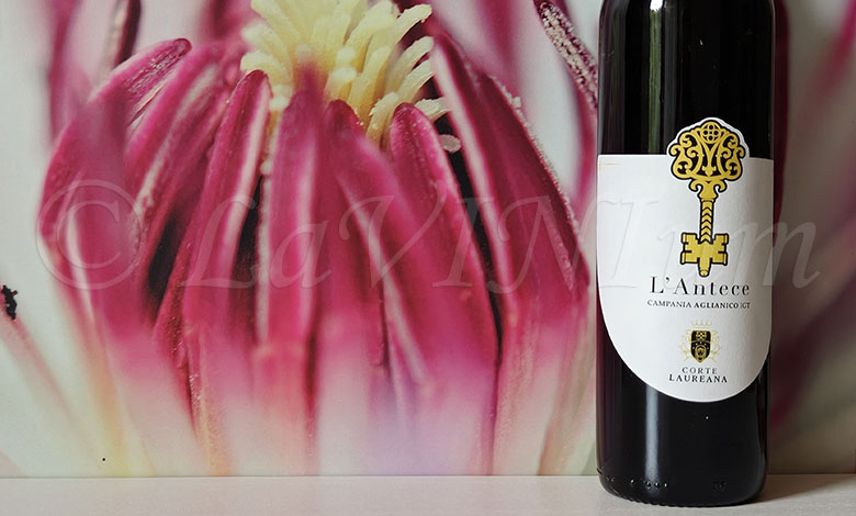 Aglianico L'Antece 2023 Corte Laureana