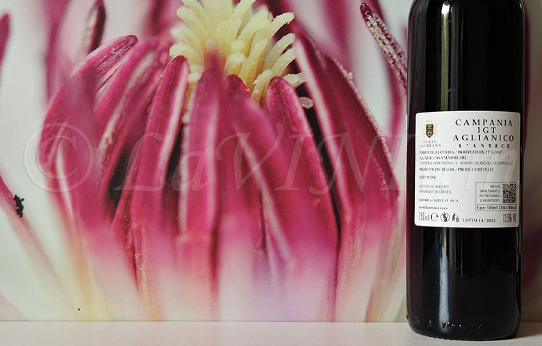 Aglianico L'Antece 2023 Corte Laureana