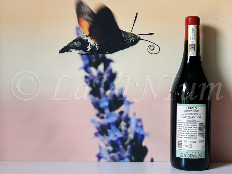 Barolo Etichetta Bianca 2021 Ascheri