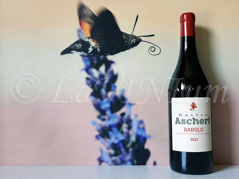 Barolo Etichetta Bianca 2021 Ascheri