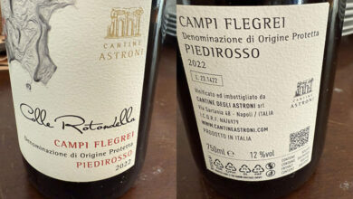 Campi Flegrei Piedirosso Colle Rotondella 2022 Cantine Astroni