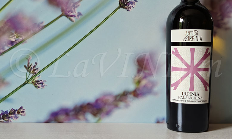 Irpinia Falanghina 2024 Antica Hirpinia
