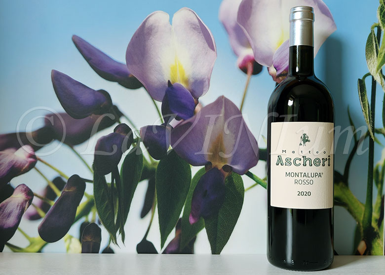 Langhe Rosso Montalupa 2020 Ascheri