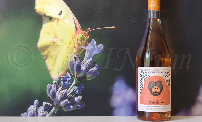 Orange-utan 2024 Cortese