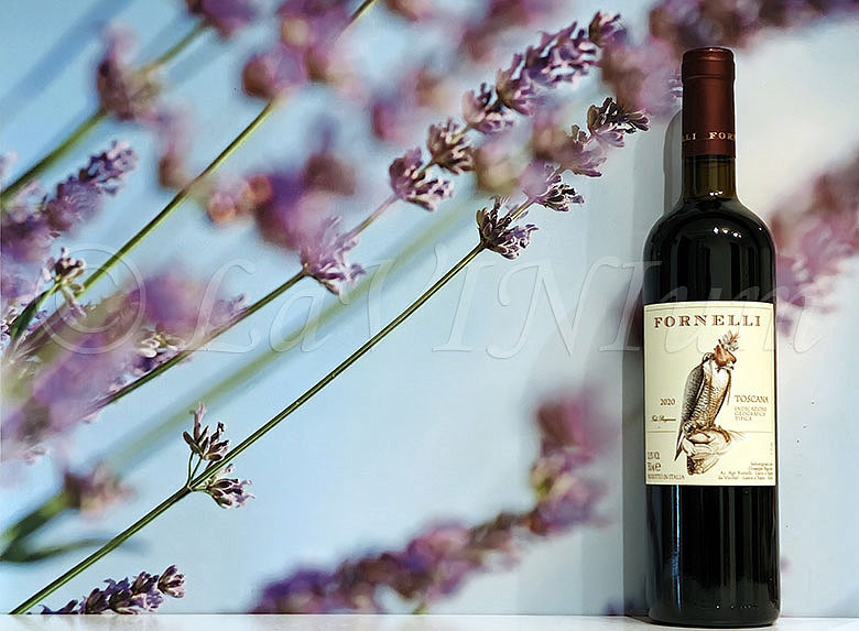 Falco Peregrinus Rosso 2020 Fornelli