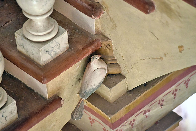 Il piccione a Terre di Vite