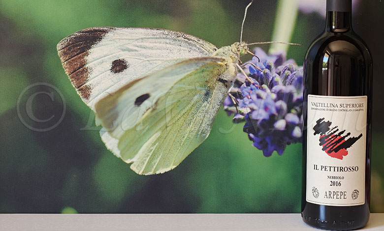 Valtellina Superiore Il Pettirosso 2016 ARPEPE