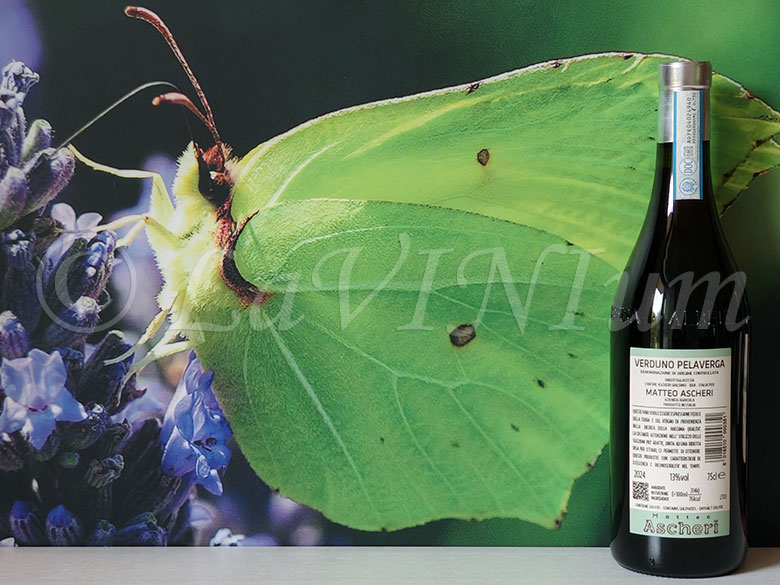 Verduno Pelaverga 2024 Ascheri