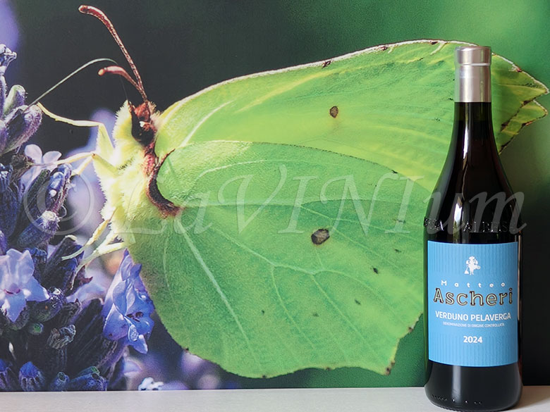 Verduno Pelaverga 2024 Ascheri