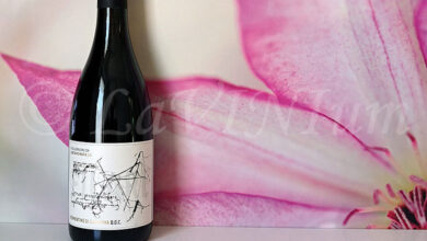 Vermentino di Sardegna Filare 2021 Jerzu Antichi Poderi