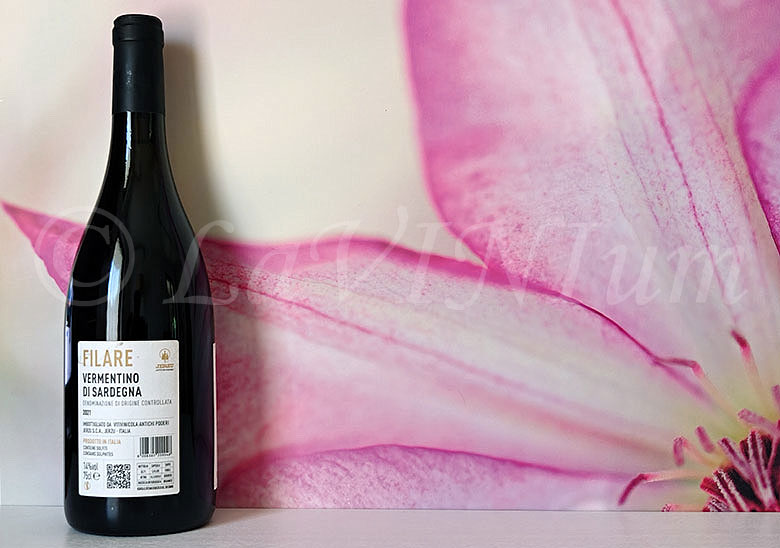 Vermentino di Sardegna Filare 2021 Jerzu Antichi Poderi