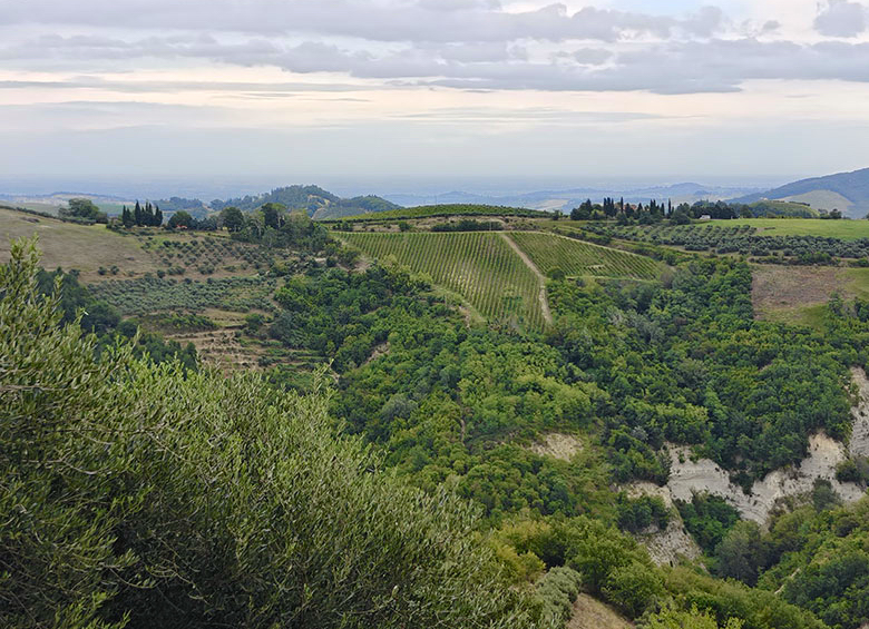 Paesaggio romagnolo