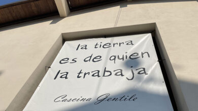 Colli Tortonesi Timorasso Derthona 2016 Cascina Gentile