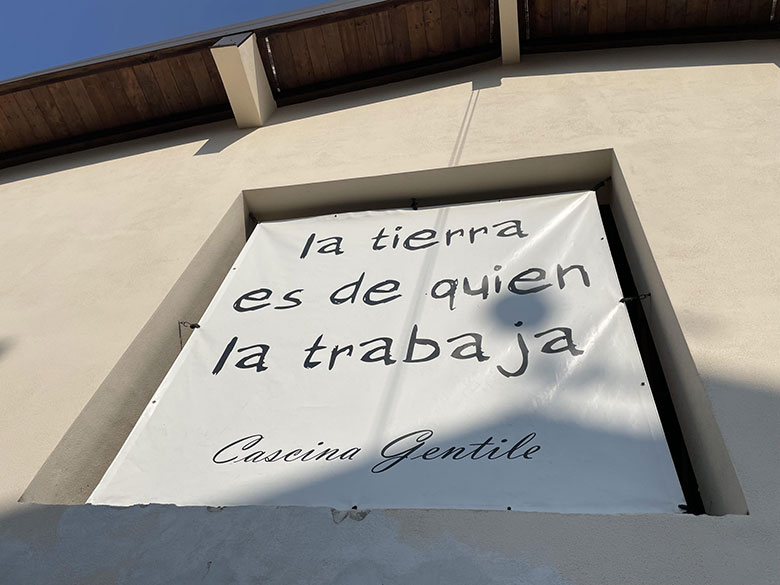 Colli Tortonesi Timorasso Derthona 2016 Cascina Gentile