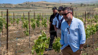 Giuseppe Rando, Giuseppe Perniciaro e Mario Papotto