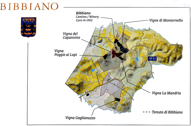 Mappa dei vigneti di Bibbiano