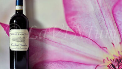 Brunello di Montalcino 2020 Podere Paganico