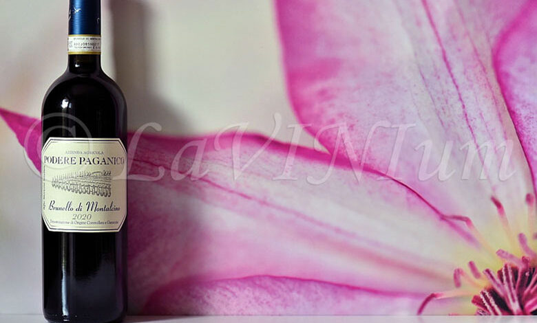 Brunello di Montalcino 2020 Podere Paganico
