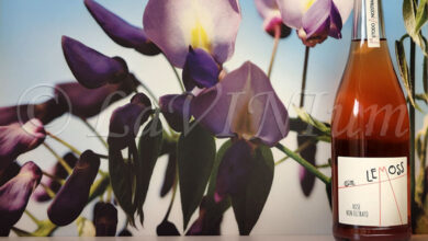 Lemoss Rosé Frizzante Ca' di Rajo