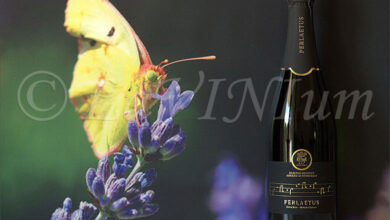 Perlaetus Extra Brut Metodo Classico 2021 Abbazia di Novacella