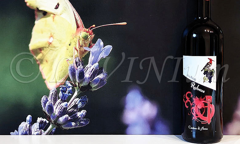 Rubeus Cantina di Anna