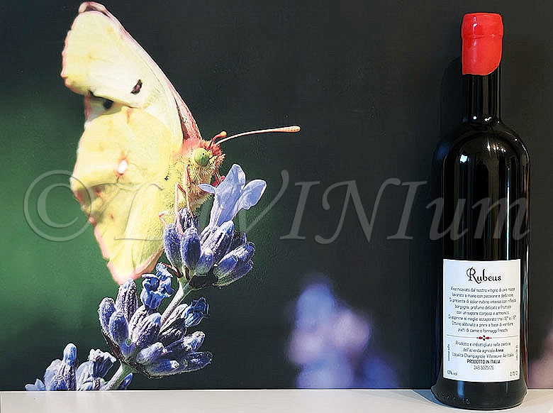 Rubeus Cantina di Anna