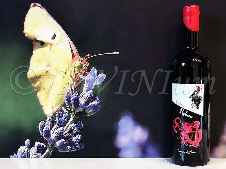 Rubeus Cantina di Anna