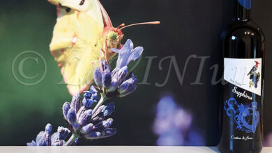 Sapphirus Cantina di Anna